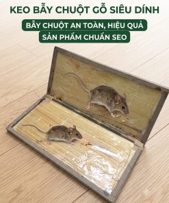 Keo bẫy chuột gỗ - Ảnh 3