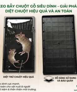 Keo bẫy chuột khay nhựa