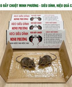 Keo bẫy chuột siêu dính Minh Phương