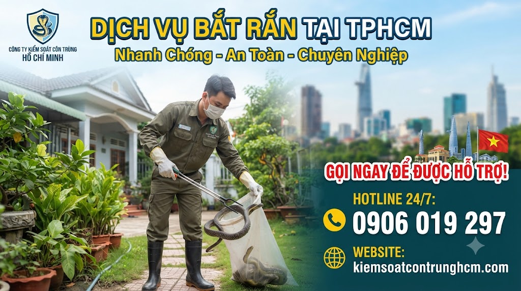 Dịch Vụ Bắt Rắn Tại Quận 8 Hồ Chí Minh