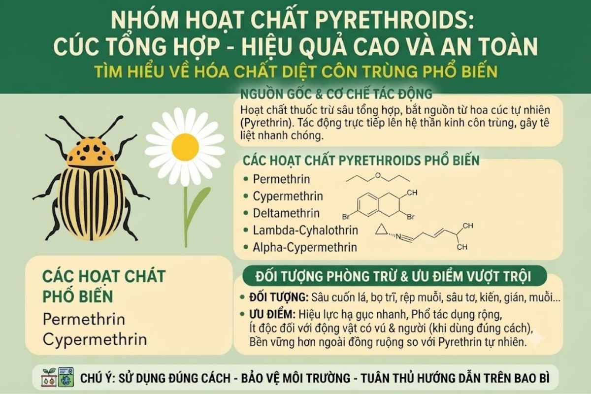 Nhóm Hoạt Chất Pyrethroids Cúc Tổng Hợp- Nhóm Hóa Chất Diệt Côn Trùng