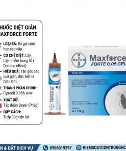 Thuốc Diệt Gián Maxforce Forte - Ảnh 2
