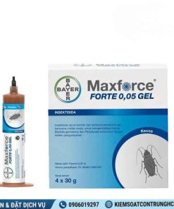 Thuốc Diệt Gián Maxforce Forte chính hãng