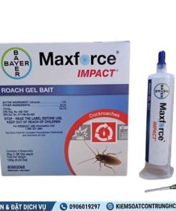 Thuốc Diệt Gián Maxforce Impact diệt gián đức, gián mỹ tận gốc giá rẻ