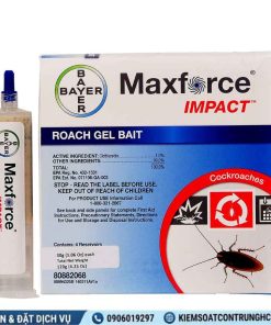 Thuốc Diệt Gián Maxforce Impact - Ảnh 2