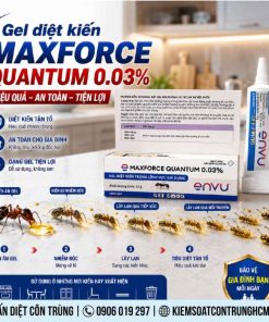 Thuốc diệt kiến tận gốc Maxforce Quantum tuýp 12g (BAYER – Đức)