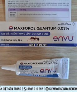 Thuốc diệt kiến tận gốc Maxforce Quantum tuýp 12g (BAYER – Đức)