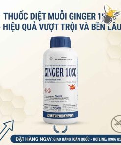 Ginger 10SC - Thuốc diệt muỗi Top 1 - Ảnh 3