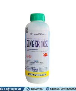 Ginger 10SC - Thuốc diệt muỗi Top 1