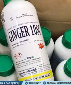 Ginger 10SC - Thuốc diệt muỗi Top 1 - Ảnh 2