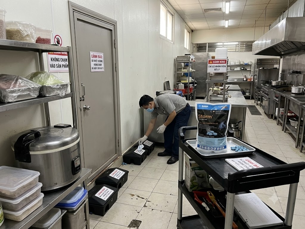 Dịch vụ kiểm soát chuột tại quận 12