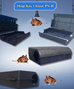 Hộp bẫy chuột PS B - Ảnh 4