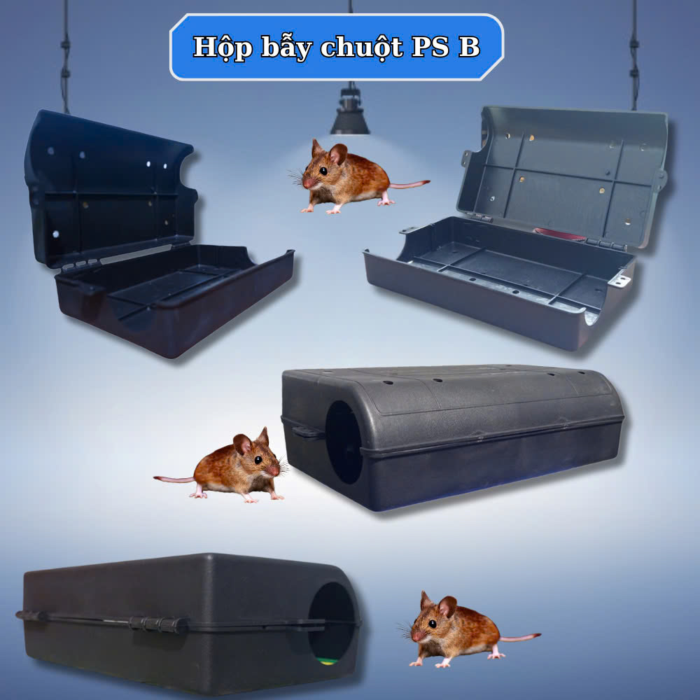 Hộp bẫy chuột PS B