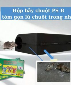 Hộp bẫy chuột PS B - Ảnh 3