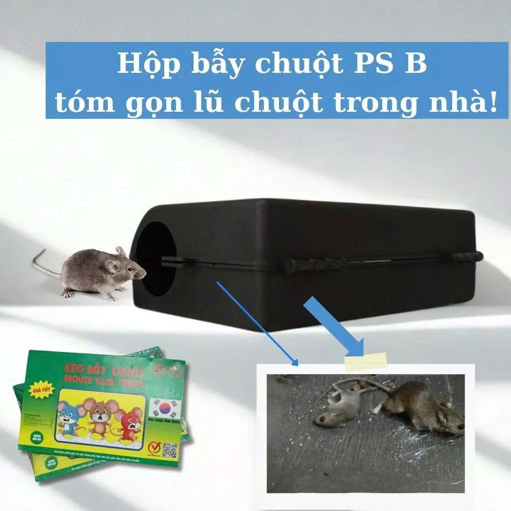 Hộp bẫy chuột PS B Đựng bẫy keo dính