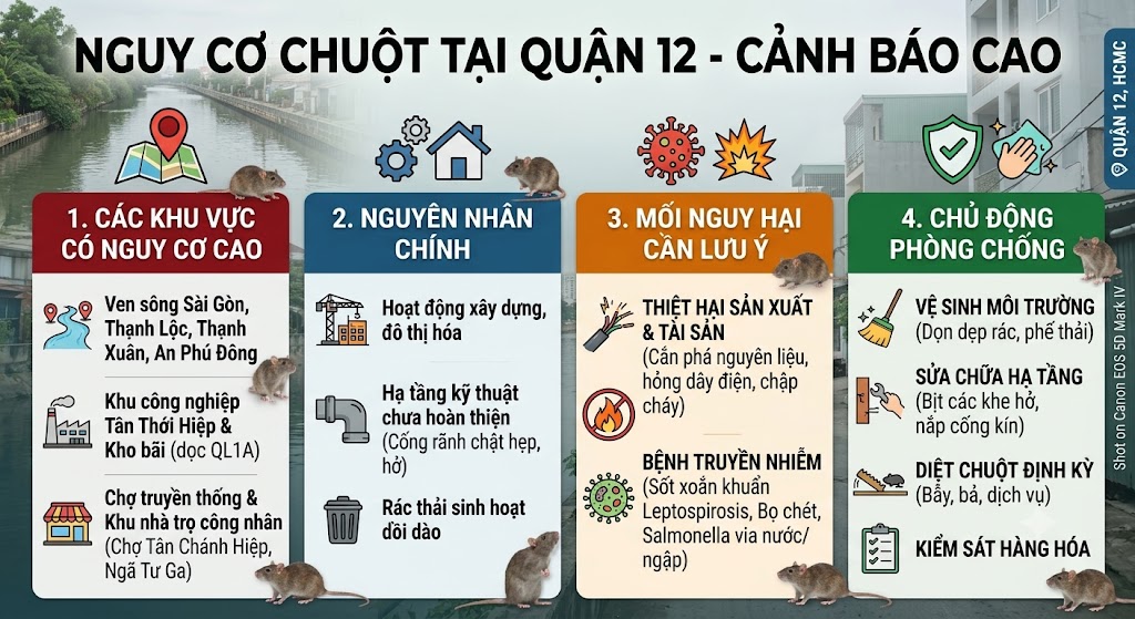 Dịch vụ kiểm soát chuột tại quận 12