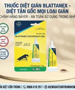 Thuốc diệt gián Blattanex